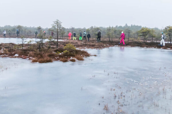 Hikers in the bog